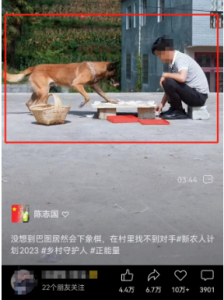 仅拍动物视频，就能月入过万-者创网-用药小知识，健康科普，健康知识，疾病资讯，癌症资讯，药品最新资讯，仿制药，原研药，印度，孟加拉，印度仿制药，孟加拉仿制药者创网