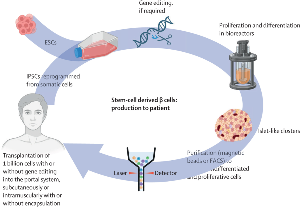eb5b95f1f222dfa0ff00a095d837654a_720
