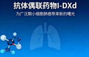 New Breakthroughs in ES-SCLC Treatment: A Multi-Perspective Insight-者创网-用药小知识,健康科普,健康知识,疾病资讯,癌症资讯,药品最新资讯,仿制药,原研药,印度,孟加拉,印度仿制药,孟加拉仿制药者创网