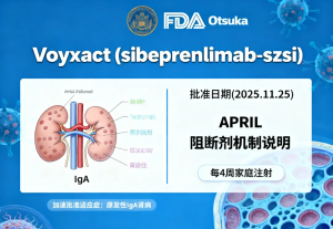 FDA Drug Approval Updates (as of November 26, 2025)-者创网-用药小知识，健康科普，健康知识，疾病资讯，癌症资讯，药品最新资讯，仿制药，原研药，印度，孟加拉，印度仿制药，孟加拉仿制药者创网
