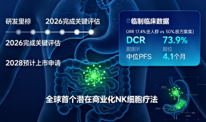 Overview of NK Cell Therapy Research and Recent Clinical Updates-者创网-用药小知识，健康科普，健康知识，疾病资讯，癌症资讯，药品最新资讯，仿制药，原研药，印度，孟加拉，印度仿制药，孟加拉仿制药者创网